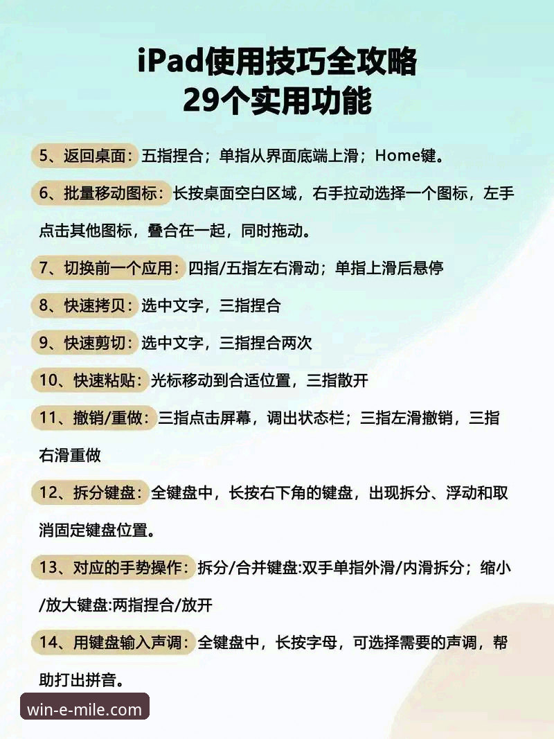 米乐体育平台使用完整指南:从入门到精通的官方教程